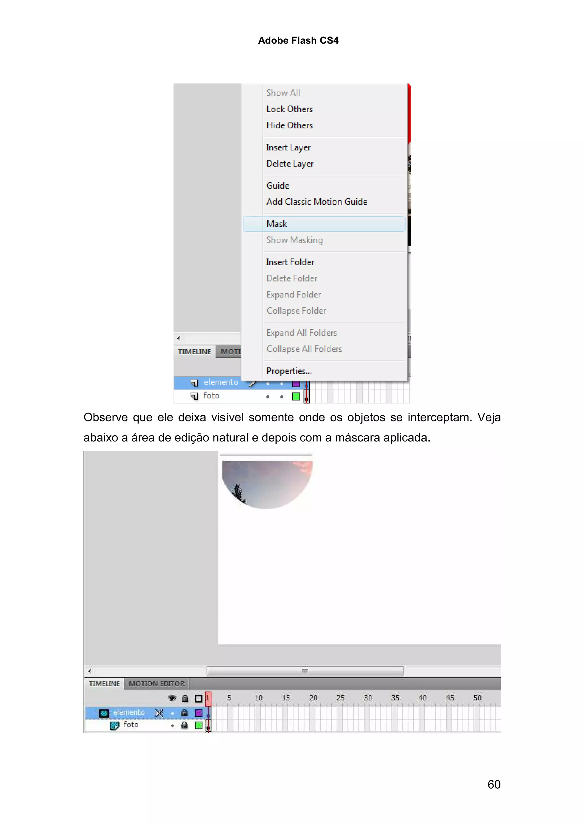 Adobe Flash CS4




Observe que ele deixa visível somente onde os objetos se interceptam. Veja
abaixo a área de edição natural e depois com a máscara aplicada.




                                                                       60
 