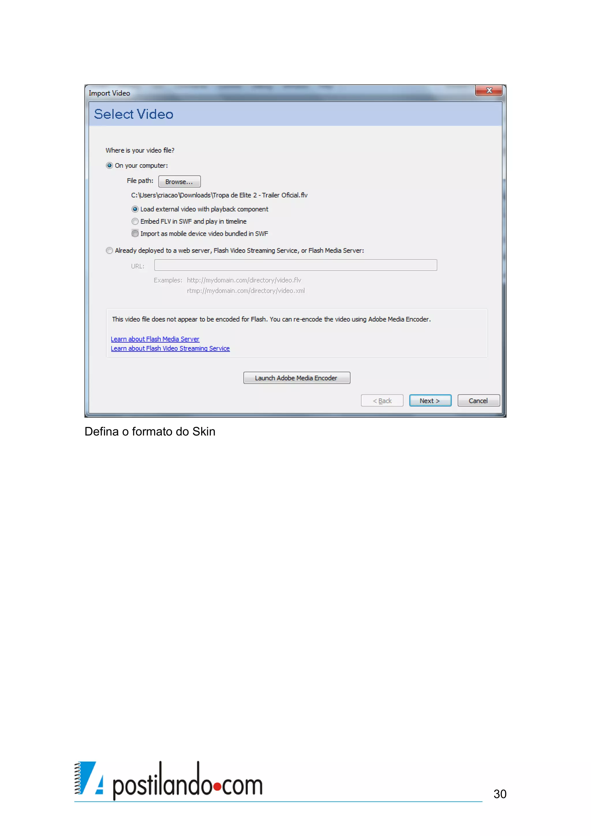 Defina o formato do Skin




                           30
 