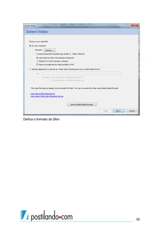 Defina o formato do Skin




                           30
 