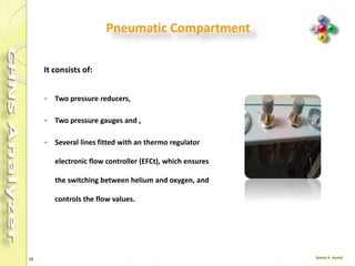 38
Pneumatic circuits
All pneumatic circuits have the following common components:
 The EFC Electronic Flow Controller for gases.
 Inlet gases pressure regulators and relevant gauges.
 The TCD Thermal Conductivity Detector.
According to each analytical configuration,
 One or two reactors.
 One or two gas chromatographic columns.
 One or two adsorption filters or none.
The filling of reactors and absorbent filters, and the type of analytical
columns vary according to the instrument configuration.
 