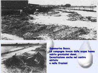 Sommariva Bosco.
Le campagne invase dalle acque hanno
subito gravissimi danni.
Devastazione anche nel centro
abitato
e nelle frazioni