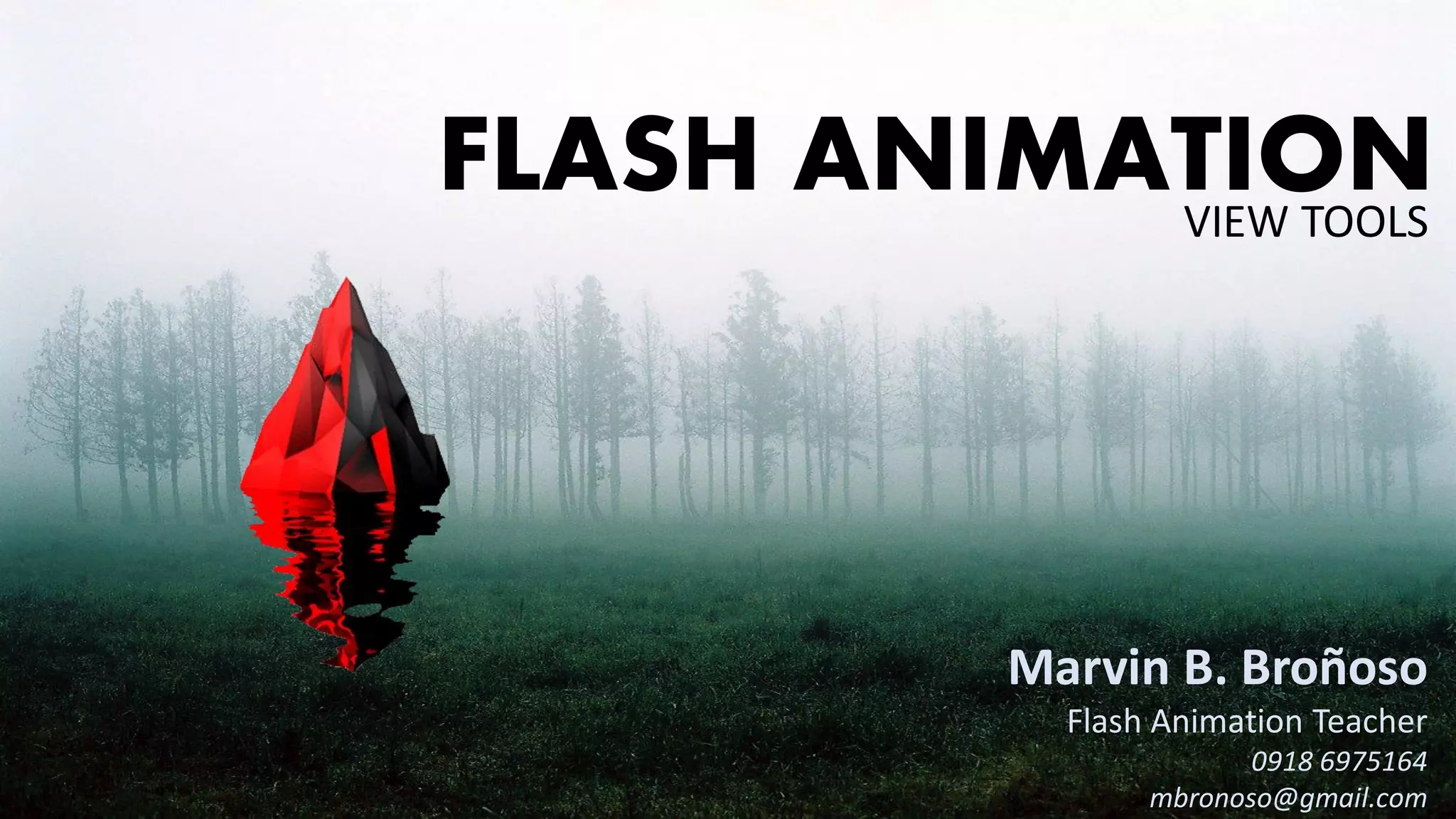 FLASH ANIMATIONVIEW TOOLS
Marvin B. Broñoso
Flash Animation Teacher
0918 6975164
mbronoso@gmail.com
 