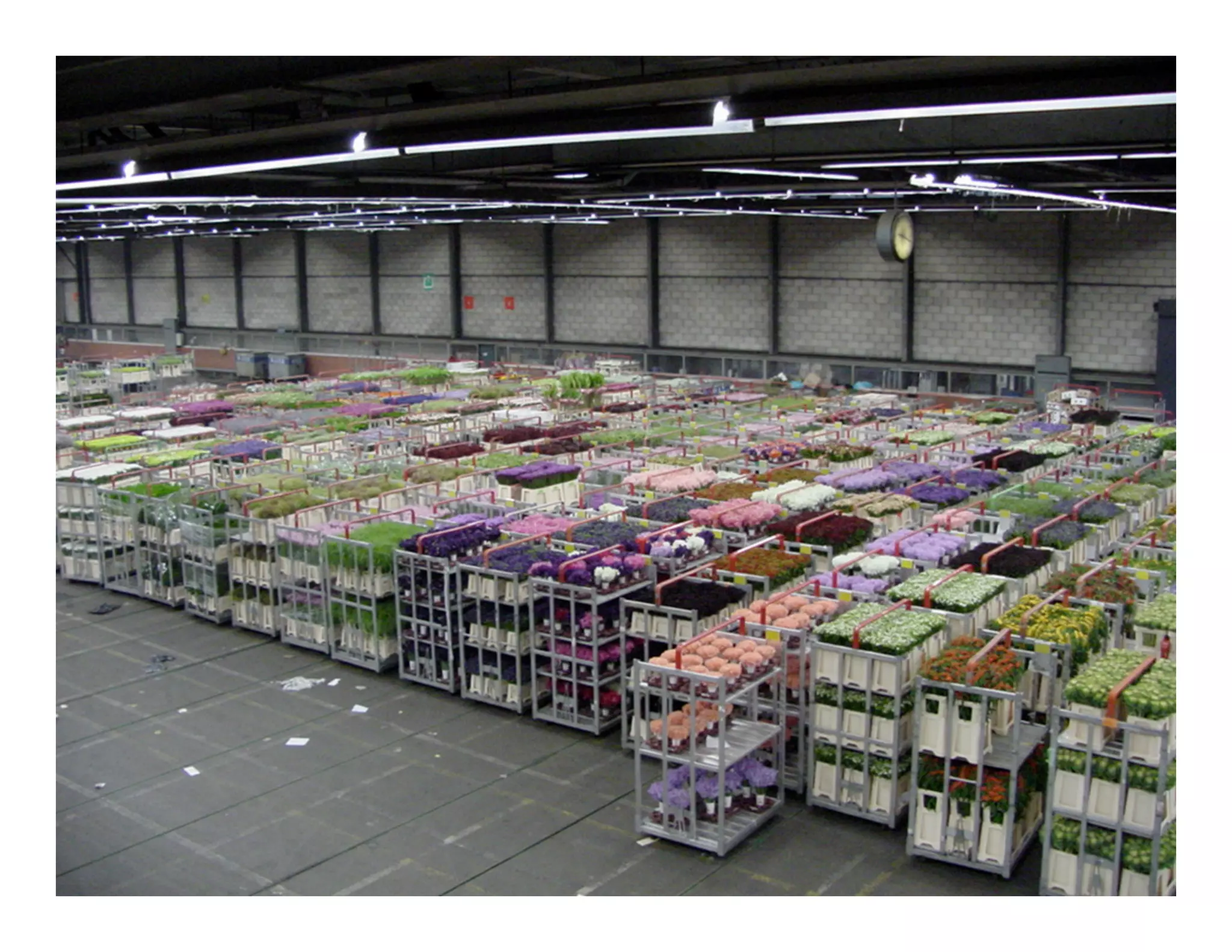 Flashmarkets - Socon09 Keynote