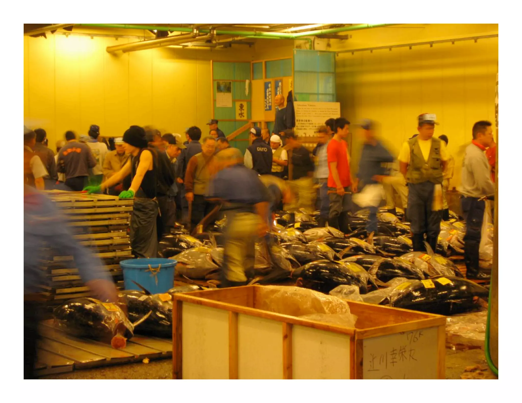 Flashmarkets - Socon09 Keynote