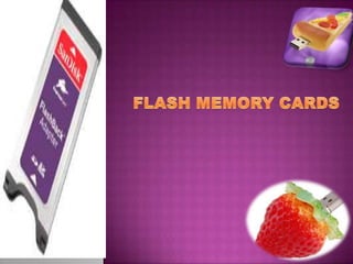 FLASH MEMORY CARDS 
