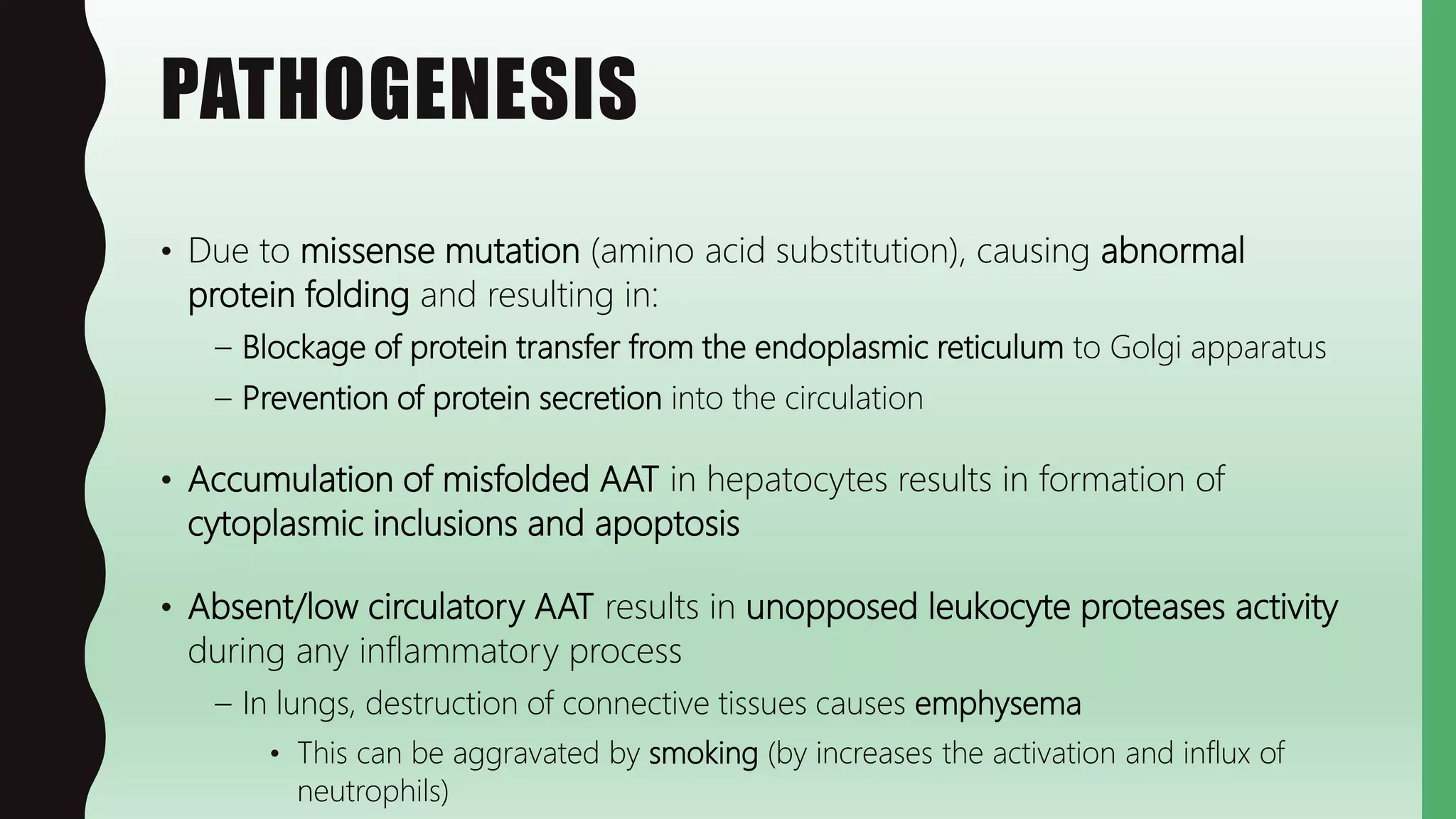 PATHOGENESIS
• Due to missense mutation (amino acid substitution), causing abnormal
protein folding and resulting in:
– Blockage of protein transfer from the endoplasmic reticulum to Golgi apparatus
– Prevention of protein secretion into the circulation
• Accumulation of misfolded AAT in hepatocytes results in formation of
cytoplasmic inclusions and apoptosis
• Absent/low circulatory AAT results in unopposed leukocyte proteases activity
during any inflammatory process
– In lungs, destruction of connective tissues causes emphysema
• This can be aggravated by smoking (by increases the activation and influx of
neutrophils)
 
