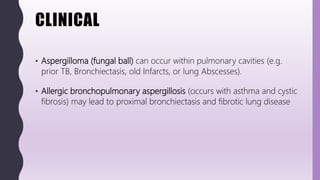 FlashPath - Lung - Bronchiectasis | PPT