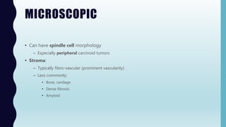 MICROSCOPIC
• Can have spindle cell morphology
– Especially peripheral carcinoid tumors
• Stroma:
– Typically fibro-vascular (prominent vascularity)
– Less commonly:
• Bone, cartilage
• Dense fibrosis
• Amyloid
 