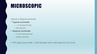 MICROSCOPIC
Typical vs Atypical carcinoid:
• Typical carcinoids:
– < 2 mitoses/10 hpf
– No necrosis
• Atypical carcinoids:
– 2–10 mitoses/10 hpf
– And/or necrosis
• HPF (high power field) = field diameter with a 40X objective (0.2 mm2)
 