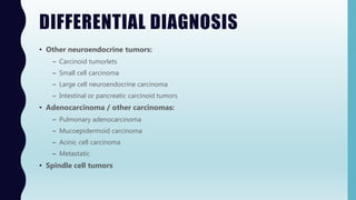 DIFFERENTIAL DIAGNOSIS
• Other neuroendocrine tumors:
– Carcinoid tumorlets
– Small cell carcinoma
– Large cell neuroendocrine carcinoma
– Intestinal or pancreatic carcinoid tumors
• Adenocarcinoma / other carcinomas:
– Pulmonary adenocarcinoma
– Mucoepidermoid carcinoma
– Acinic cell carcinoma
– Metastatic
• Spindle cell tumors
 