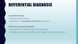 DIFFERENTIAL DIAGNOSIS
Carcinoid tumorlets:
• Resemble typical carcinoid
• By definition it is less than 5 mm (0.5 cm) in diameter
Intestinal or pancreatic carcinoid:
• Not express TTF-1 (positive in pulmonary carcinoids)
• Intestinal carcinoids express CDX2 (usually negative in pulmonary carcinoids)
 