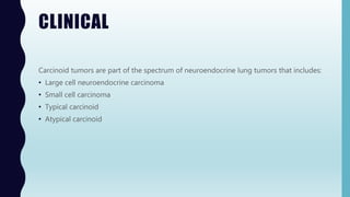 CLINICAL
Carcinoid tumors are part of the spectrum of neuroendocrine lung tumors that includes:
• Large cell neuroendocrine carcinoma
• Small cell carcinoma
• Typical carcinoid
• Atypical carcinoid
 