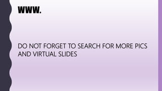 WWW.
DO NOT FORGET TO SEARCH FOR MORE PICS
AND VIRTUAL SLIDES
 