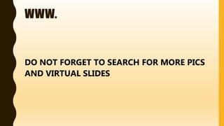 WWW.
DO NOT FORGET TO SEARCH FOR MORE PICS
AND VIRTUAL SLIDES
 