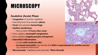 MICROSCOPY
Exudative (Acute) Phase
• Congestion of alveolar capillaries
• Interstitial and intra-alveolar edema
• Focal intra-alveolar hemorrhage
• Hyaline membranes
– More evident 72 hours after onset
• Intra-capillary neutrophil margination
• Intra-capillary megakaryocytes entrapment
• Interstitial inflammation
– Usually mild (scattered cells)
– Increased neutrophils may indicate that DAD is superimposed on another process
(e.g. bacterial pneumonia)
• Microvascular “capillaries and arterioles” fibrin thrombi
 