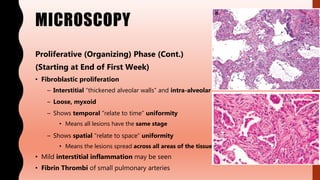 MICROSCOPY
Proliferative (Organizing) Phase (Cont.)
(Starting at End of First Week)
• Fibroblastic proliferation
– Interstitial “thickened alveolar walls” and intra-alveolar
– Loose, myxoid
– Shows temporal “relate to time” uniformity
• Means all lesions have the same stage
– Shows spatial “relate to space” uniformity
• Means the lesions spread across all areas of the tissue
• Mild interstitial inflammation may be seen
• Fibrin Thrombi of small pulmonary arteries
 