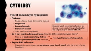 CYTOLOGY
Type II pneumocyte hyperplasia:
• Features:
– Single cells and three-dimensional clusters
– Large nuclei
– Coarse chromatin
– Prominent nucleoli
– Scant to abundant cytoplasm
• So it can mimic adenocarcinoma (how to differentiate between them?)
– History of acute respiratory distress
– Diffuse pulmonary infiltrate on x-rays
• Repeat BAL to be sure
– Hyperplastic pneumocytes are not present more than 1 month after the onset of acute
lung injury
Because type II pneumocytes function as
alveolar reserve cells, they proliferate after
any lung injury (see causes of DAD)
Favor type II pneumocyte hyperplasia
 
