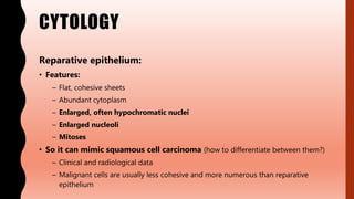 CYTOLOGY
Reparative epithelium:
• Features:
– Flat, cohesive sheets
– Abundant cytoplasm
– Enlarged, often hypochromatic nuclei
– Enlarged nucleoli
– Mitoses
• So it can mimic squamous cell carcinoma (how to differentiate between them?)
– Clinical and radiological data
– Malignant cells are usually less cohesive and more numerous than reparative
epithelium
 