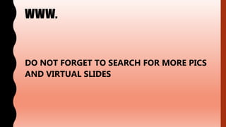 WWW.
DO NOT FORGET TO SEARCH FOR MORE PICS
AND VIRTUAL SLIDES
 