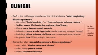 CLINICAL
• DAD is the pathologic correlate of the clinical disease “adult respiratory
distress syndrome”
– Also called “Acute lung injury ” or “ Non-cardiogenic pulmonary edema ”
– Sudden, severe, life threatening respiratory insufficiency
– Clinical: acute dyspnea, cough, cyanosis
– Laboratory: severe arterial hypoxemia (may be refractory to oxygen therapy)
– Radiology: diffuse pulmonary infiltrate (due to severe pulmonary edema)
– Prognosis: Poor (50% mortality in six months)
• Remember also “neonatal respiratory distress syndrome”
– Also called “ Hyaline membrane disease”
– Affect mainly preterm babies
– Due to surfactant deficiency
in the
absence
of
cardiac
failure
 
