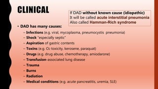 CLINICAL
• DAD has many causes:
– Infections (e.g. viral, mycoplasma, pneumocystis pneumonia)
– Shock “especially septic”
– Aspiration of gastric contents
– Toxins (e.g. O2 toxicity, kerosene, paraquat)
– Drugs (e.g. drug abuse, chemotherapy, amiodarone)
– Transfusion-associated lung disease
– Trauma
– Burns
– Radiation
– Medical conditions (e.g. acute pancreatitis, uremia, SLE)
If DAD without known cause (idiopathic)
It will be called acute interstitial pneumonia
Also called Hamman-Rich syndrome
 