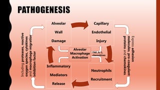 PATHOGENESIS
Capillary
Endothelial
Injury
Neutrophils
Recruitment
Inflammatory
Mediators
Release
Alveolar
Wall
Damage
Expressadhesion
molecules,pro-coagulant
proteinsandchemokines.
Includingproteases,reactive
oxygenspecies,cytokines
andmacrophagemigration
inhibitionfactor
Alveolar
Macrophage
Activation
TNF, IL-1,
chemokines
 