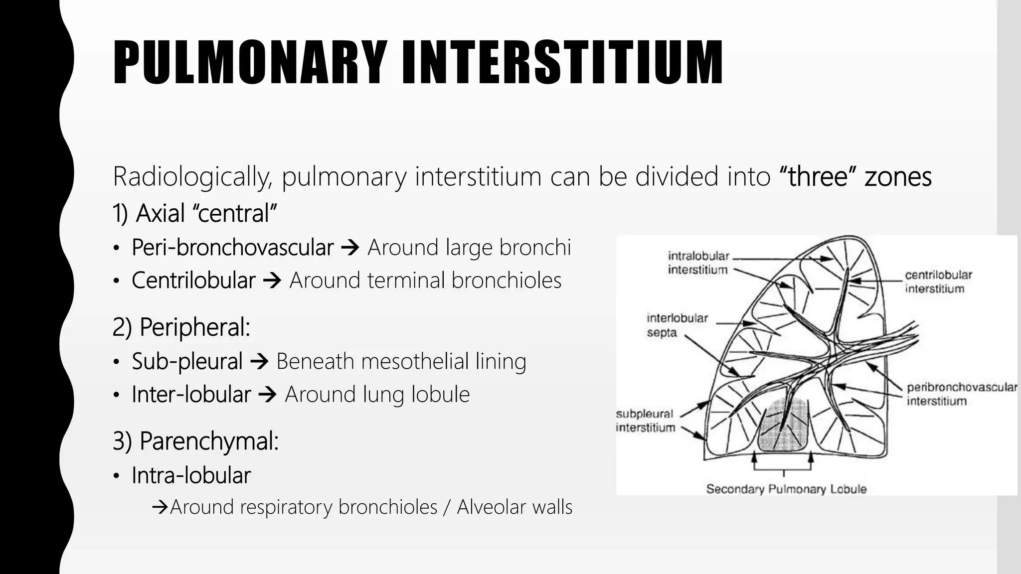 FlashPath - Lung - Histology | PPTX