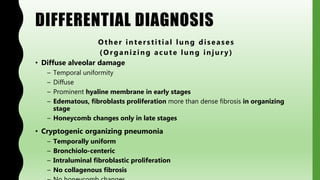 DIFFERENTIAL DIAGNOSIS
Other interstitial lung diseases
(Organizing acute lung injury)
• Diffuse alveolar damage
– Temporal uniformity
– Diffuse
– Prominent hyaline membrane in early stages
– Edematous, fibroblasts proliferation more than dense fibrosis in organizing
stage
– Honeycomb changes only in late stages
• Cryptogenic organizing pneumonia
– Temporally uniform
– Bronchiolo-centeric
– Intraluminal fibroblastic proliferation
– No collagenous fibrosis
 