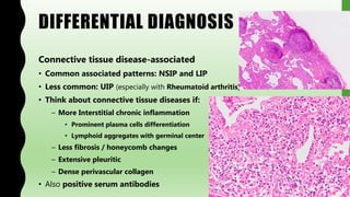 DIFFERENTIAL DIAGNOSIS
Connective tissue disease-associated
• Common associated patterns: NSIP and LIP
• Less common: UIP (especially with Rheumatoid arthritis)
• Think about connective tissue diseases if:
– More Interstitial chronic inflammation
• Prominent plasma cells differentiation
• Lymphoid aggregates with germinal center
– Less fibrosis / honeycomb changes
– Extensive pleuritic
– Dense perivascular collagen
• Also positive serum antibodies
 