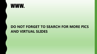 WWW.
DO NOT FORGET TO SEARCH FOR MORE PICS
AND VIRTUAL SLIDES
 