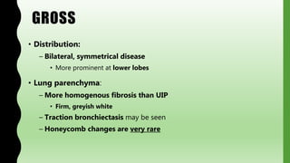 GROSS
• Distribution:
– Bilateral, symmetrical disease
• More prominent at lower lobes
• Lung parenchyma:
– More homogenous fibrosis than UIP
• Firm, greyish white
– Traction bronchiectasis may be seen
– Honeycomb changes are very rare
 