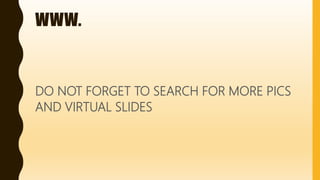 WWW.
DO NOT FORGET TO SEARCH FOR MORE PICS
AND VIRTUAL SLIDES
 