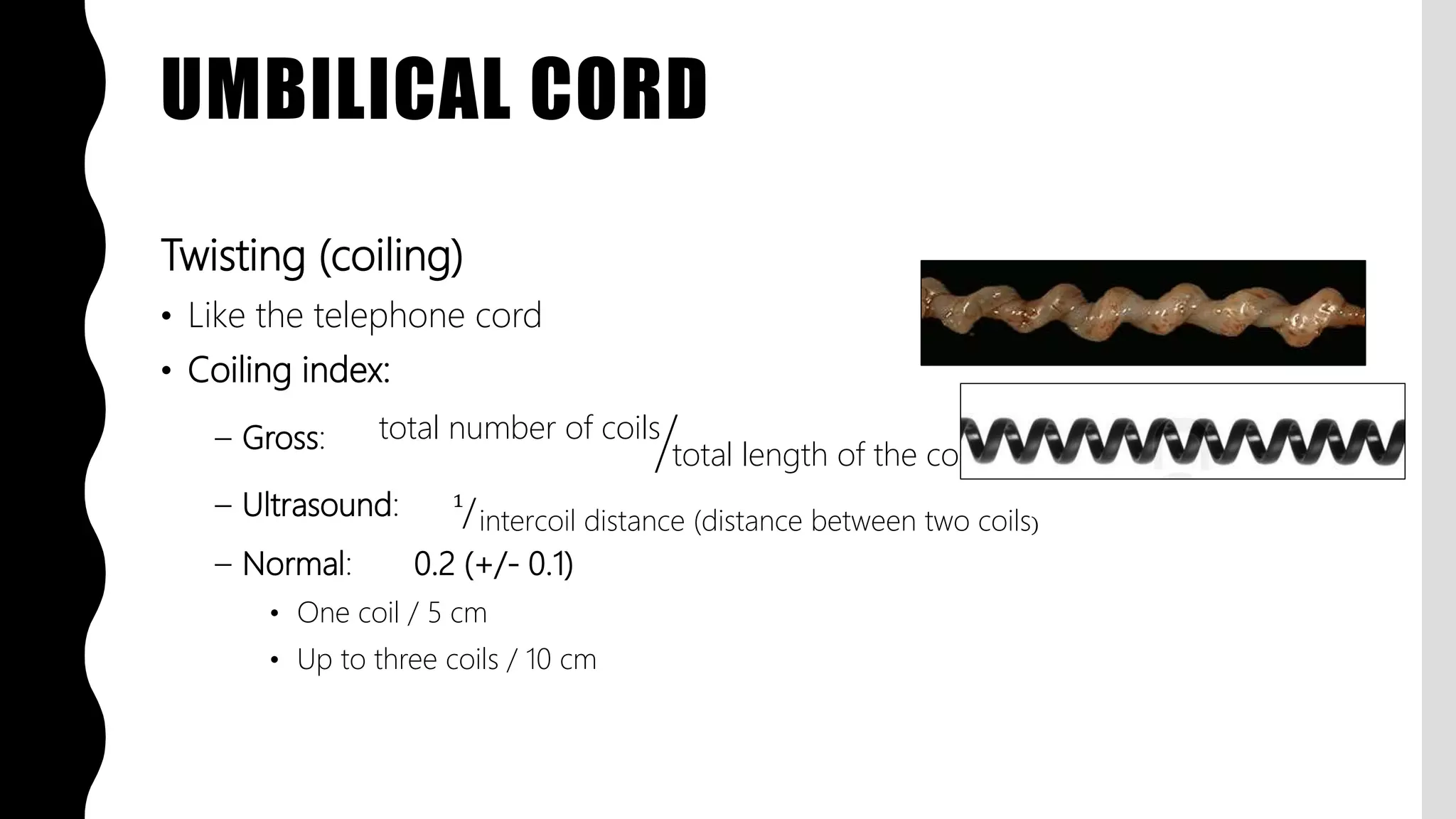FlashPath - Placenta - Anatomy | PPTX
