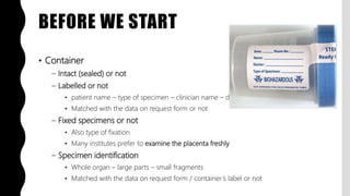 FlashPath - Placenta - Grossing | PPTX