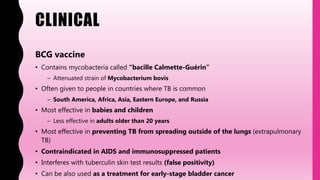 CLINICAL
BCG vaccine
• Contains mycobacteria called “bacille Calmette-Guérin”
– Attenuated strain of Mycobacterium bovis
• Often given to people in countries where TB is common
– South America, Africa, Asia, Eastern Europe, and Russia
• Most effective in babies and children
– Less effective in adults older than 20 years
• Most effective in preventing TB from spreading outside of the lungs (extrapulmonary
TB)
• Contraindicated in AIDS and immunosuppressed patients
• Interferes with tuberculin skin test results (false positivity)
• Can be also used as a treatment for early-stage bladder cancer
 