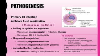 PATHOGENESIS
Primary TB infection
A) Before T-cell sensitization:
( Macrop h age - mediated )
• Bacillary recognition and engulfment
– (Macrophage) Mannose receptor  (Bacillary) Mannose
– (Macrophage) CR3  (Bacillary) C3b
• Phagosomal manipulation
– TB Inhibition phagosomes maturation
– TB Inhibition phagosomes fusion with lysosomes
• Unchecked bacillary replication
– Bacteremia and seeding of multiple sites can occur
TB Virulence
• Cell envelope components
• (mycolic acids, peptidoglycan,
arabin galactan)
• Lipopolysaccharide lipoarabinomannan
(LAM)
• Mycobacterial cell entry protein (Mcep)
encoded by mce1A
 