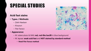 SPECIAL STUDIES
Acid fast stains
• Types / Methods:
– Ziehl-Neelsen
– Kinyoun
– Fite-Faraco
• Appearance:
– M. tuberculosis & MAI: red, rod-like bacilli in blue background
– M. leprae: weak acid fast and NOT stained by standard method
• Need Fite-Faraco method
 