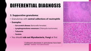 DIFFERENTIAL DIAGNOSIS
3. Suppurative granuloma:
• Granulomas with central collections of neutrophils
• Examples:
– Cat scratch disease (Bartonella henselae)
– Lymphogranuloma venereum (Chlamydia trachomatis)
– Tularemia
– Yersinia
• You should rule out Mycobacteria, Fungi at first
Coalescent abscesses in granulomas have been
termed “stellate microabscesses”
 
