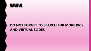 WWW.
DO NOT FORGET TO SEARCH FOR MORE PICS
AND VIRTUAL SLIDES
 