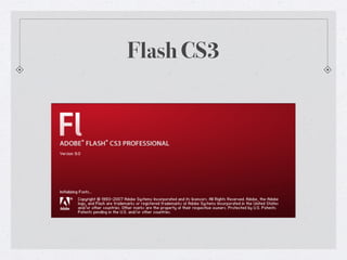 The Evolution of the Flash Platform | PDF