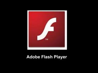Adobe Flash Player
 