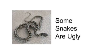 Some
Snakes
Are Ugly
 