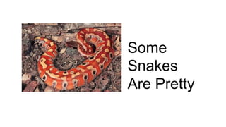 Some
Snakes
Are Pretty
 