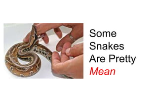 Some
Snakes
Are Pretty
Mean
 