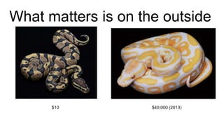 What matters is on the outside
$40,000 (2013)$10
 
