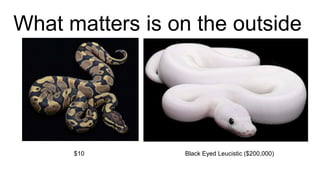 What matters is on the outside
Black Eyed Leucistic ($200,000)$10
 