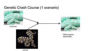 Genetic Crash Course (1 scenario)
heterozygous
(Dominate)
unknown
normal
 