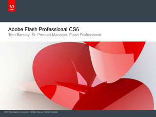 Adobe Flash Pro CS6 Customer Review