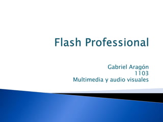 Gabriel Aragón
                      1103
Multimedia y audio visuales
 
