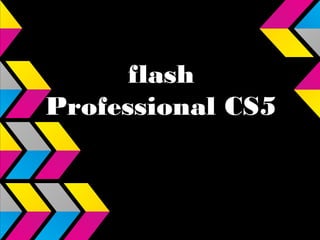 flash
Professional CS5
 